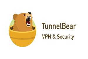 TUNNEL BEAR VPN 1MONTH+ FOR ONE USER, DON'T MAKE ANY ATTEMPT TO CHANGE DETAILS file format: Mail:password